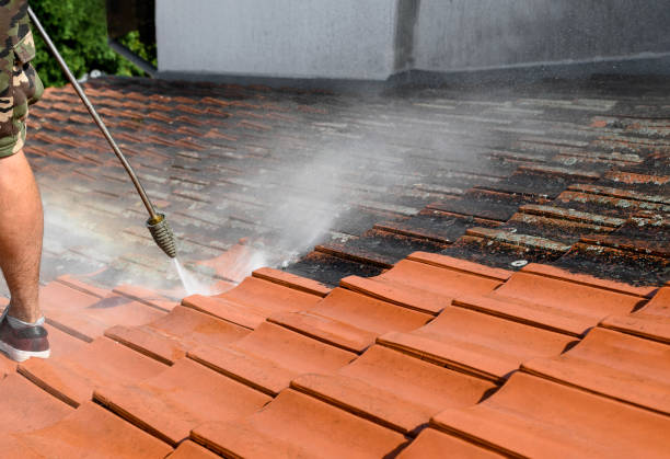 Best Garage Pressure Washing  in Sedro Woolley, WA