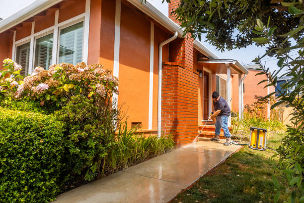 Best Roof Pressure Washing  in Sedro Woolley, WA
