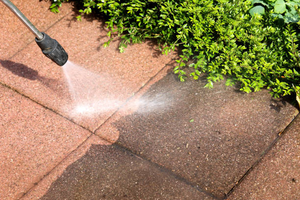 Best Roof Power Washing Services  in Sedro Woolley, WA
